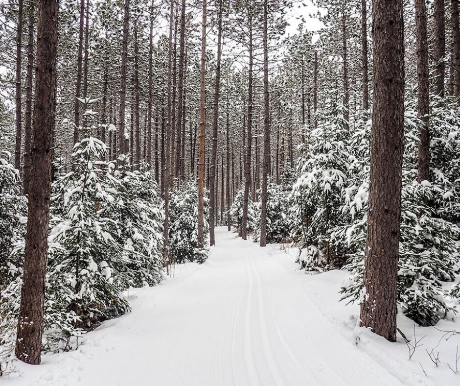 winter activities to get you through the winter