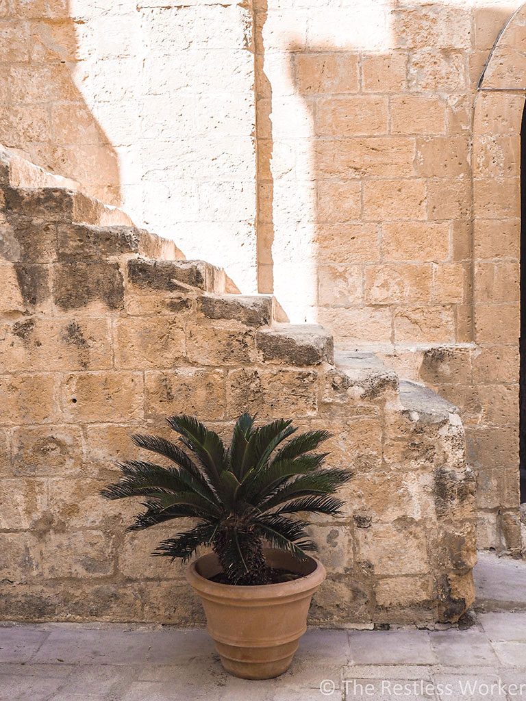 photos of Mdina