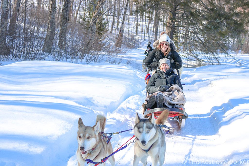 dog sledding experience in Ontario