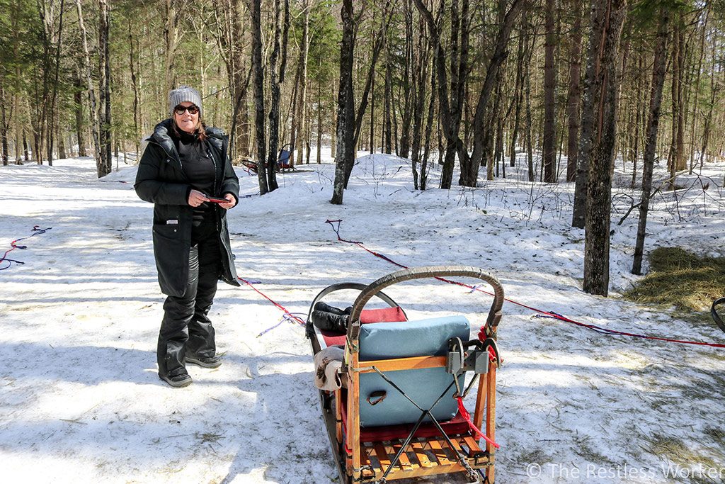 dog sledding experience in Ontario