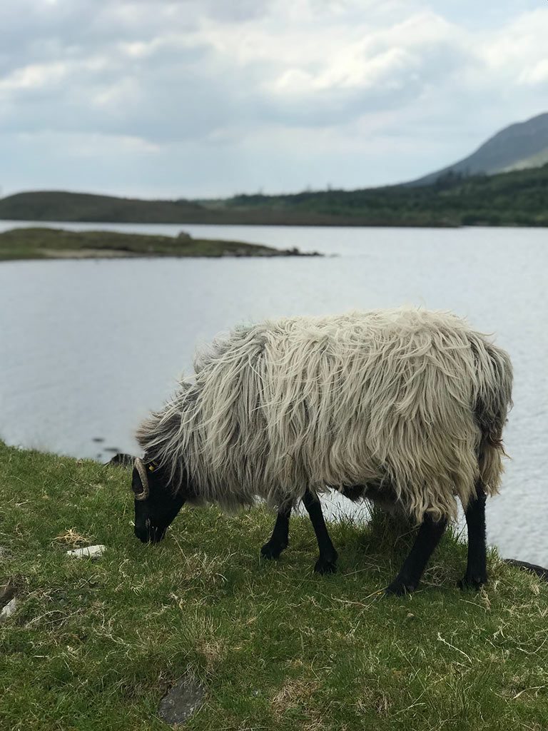 galway ireland