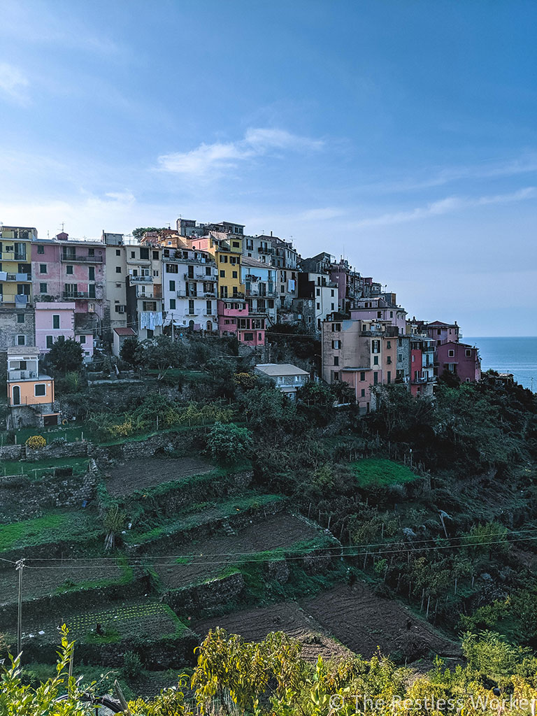 hiking in cinque terre