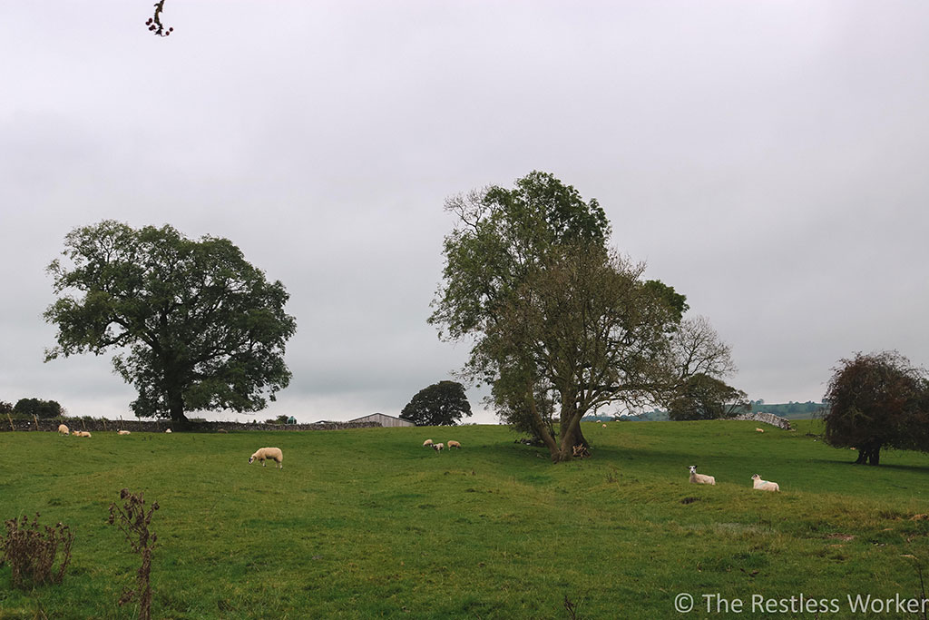 photos of the peak district