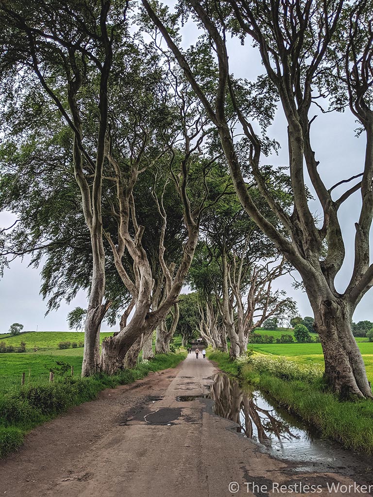 northern ireland