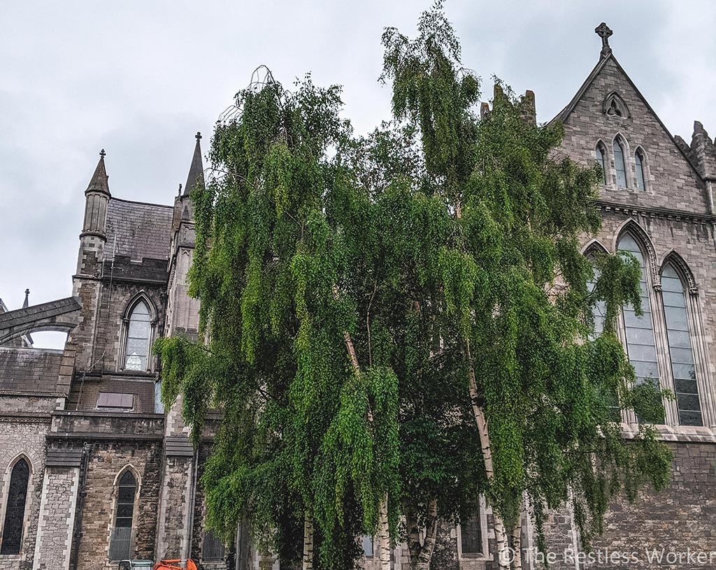 st patricks cathedral