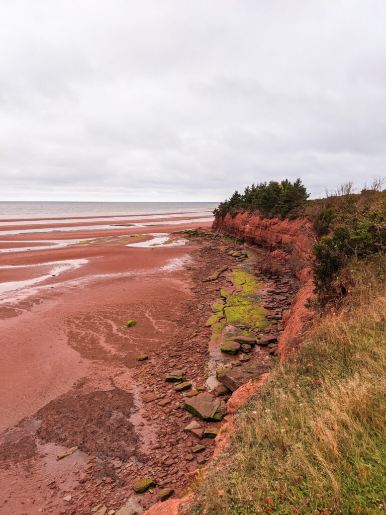 PEI beach