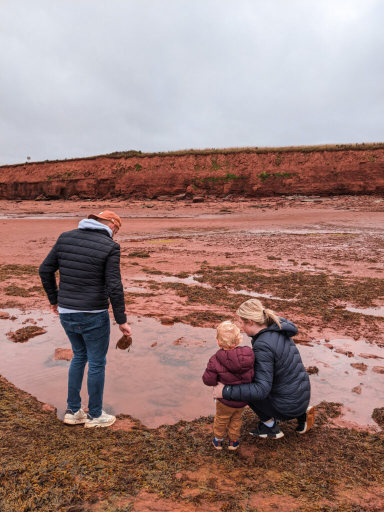 PEI beach