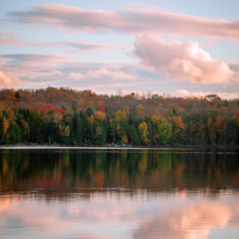 The best ways to see Canada’s wildlife and scenery on a budget